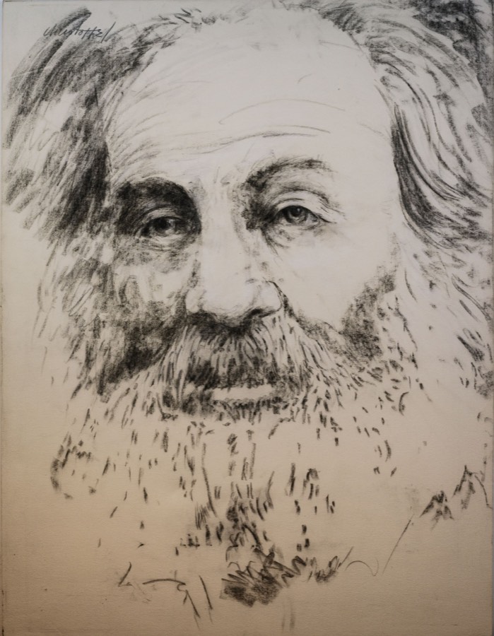 Portrait Series artwork 1